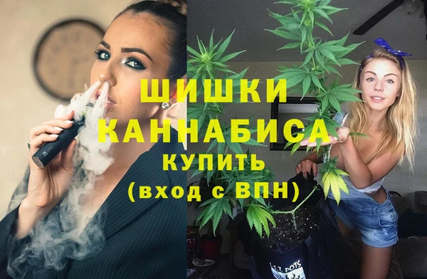 тгк Медвежьегорск