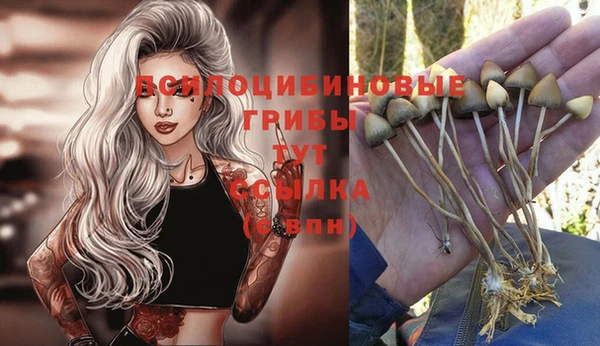 тгк Медвежьегорск