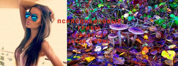 стафф Медногорск