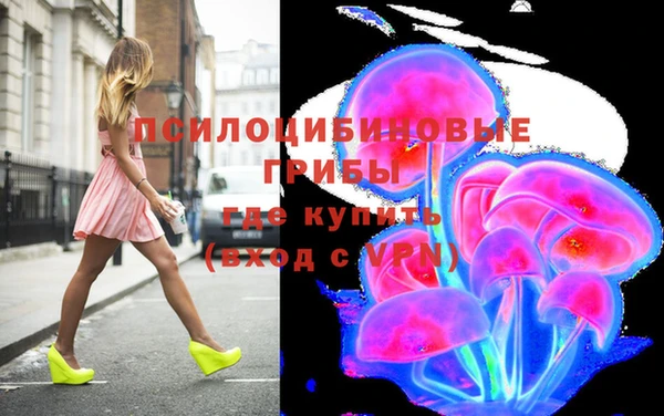 тгк Медвежьегорск