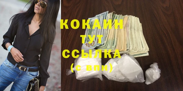 стафф Медногорск
