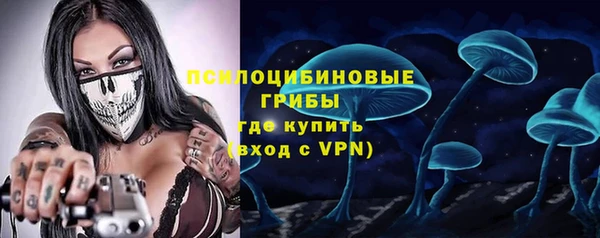 тгк Медвежьегорск