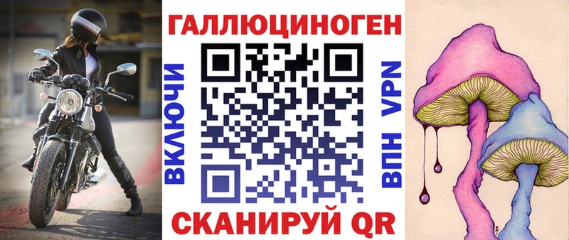 OMG   Харабали  Псилоцибиновые грибы Psilocybine cubensis 